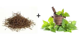 Isirgan Otu Kiraz Sapi Kuru Ile Iltihapli Eklem Romatizmasi Tedavisi Plants Herbs Hair Beauty