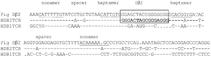Alignment Of The Pig Germline D Region With The Human