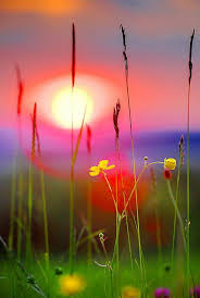 Les Plus Belles Fonds D Ecran Paysage En 45 Photos Paysage Coucher De Soleil Paysage Coucher De Soleil