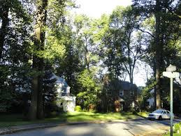 UPDATE: Police Identify Grandson of Couple Found Dead Monday