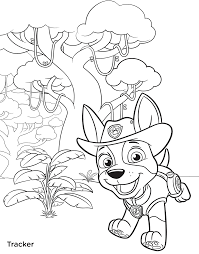 We have collected 38+ paw patrol tracker coloring page images of various designs for you to color. Paw Patrol Coloring Pages Free Download Novocom Top