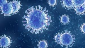 Texas es uno de los. Virus Respiratorio Sincitial La Enfermedad Respiratoria Que Preocupa A Los Pediatras Y No Es El Coronavirus Bbc News Mundo