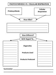 photosynthesis vs cellular respiration venn diagram