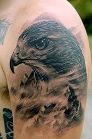Bird Of Prey Tattoo Designs Hawk Tattoos And Meanings Hawk Tattoo Designs And Ideas Hawk Tattoo Pictures Hawk Tattoo Falcon Tattoo Picture Tattoos
