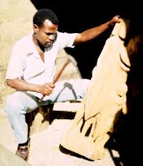 Image result for Brachylaena huillensis