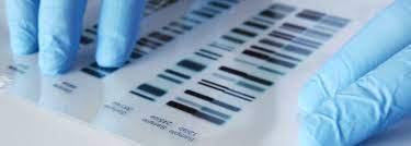 This wegene dna test is not for everyone and here is why ↓so my partner and i are interested in discovering all the opportunities that the world can offer. Dna Testing In Malaysia Top 5 At Home Kits For Use