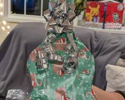 Image of Gift Certificate to His Favorite Local Bookstore