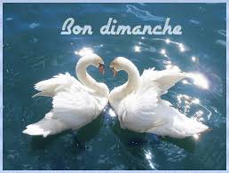 Résultat de recherche d'images pour "gif dimanche"