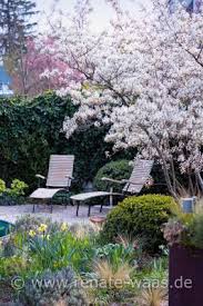 Pflegeleichtes Staudenbeet Selbst Planen Fur Einen Garten Zum Geniessen Die Gartenarchitektin Renate Waas Staudenbeet Pflegeleichter Garten Naturnaher Garten