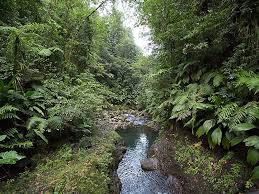 The new and affordable direct flights from the usa cut the time of travelling in half. Nationalpark Guadeloupe In Frankreich Sygic Travel
