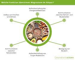 Magnesium Funktion Im Korper Tagesbedarf Magnesiummangel Vorbeugung