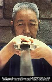 Tai Chi Sword by Kenneth van Sickle