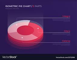 Isometric Pie Chart Design Modern Template