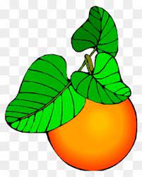 Download now galeri gambar buah buahan yang indah pesona dunia web save. Mango Clipart Buah Buahan Fruit Free Transparent Png Clipart Images Download