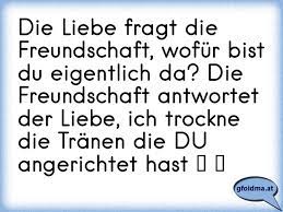 Die Liebe fragt die Freundschaft, wofür bist du eigentlich da? Die  Freundschaft antwortet der Liebe, ich trockne die Tr... | Österreichische  Sprüche und Zitate