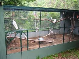 Pin By Rocio De La Gasca On Birdie Musts Aviary Pet Bird Cage Bird Aviary