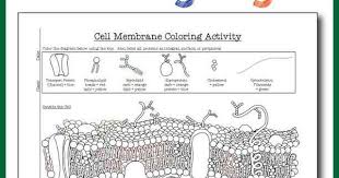 You can download cell membrane coloring worksheet with complete answers for quick usage. Cell Membrane Coloring Pages