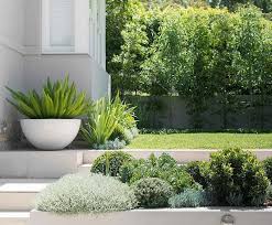 Beton Pflanzkubel Selber Machen Diy Zenideen In 2020 Concrete Planters Diy Concrete Planters Garden Containers