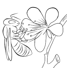 This will also help you when watching english television shows, for example nature documentaries, as you will. Bees Coloring Pages Coloring Home