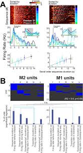 Mliveu android 2.3.6.6 apk download and install. The Contribution Of Premotor Cortico Striatal Projections To The Execution Of Serial Order Sequences Eneuro