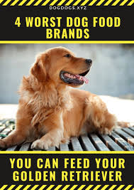 4 Dog Food Brands To Avoid Dogdogs Dog Food Recipes Dog Food Brands Purina Dog Food