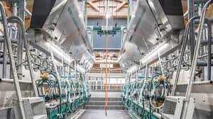 Deze melkstal is uitgevoerd met een zweeds. Dairyparlor P7550 Side By Side Parlor