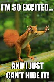 I M So Excited And I Just Can T Hide It Red Squirrel Quickmeme