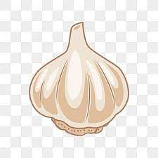 Creative Garlic Clipart Garlic Clipart Garlic Clipart Png And Vector With Transparent Background For Free Download In 2021 Free Clip Art Clip Art Vegetable Illustration
