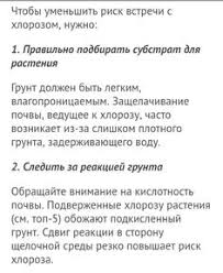 что значит если человек снится со вторника на среду Pin By Svetlana Morgun On Tips Art Tips