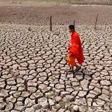 Trend Google: el niño