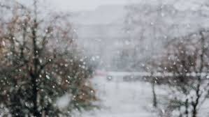 Im winter bringt die solaranlage so gut wie nichts. Sturmschaden Am Wohnmobil