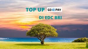 Cara top up dana memang cukup aneh, pada kebanyakan kasus orang yang mengalami pemblokiran user id tidak. Kode Q1 Pada Edc Bri Apa Itu Agen Brilink E Channel Solution