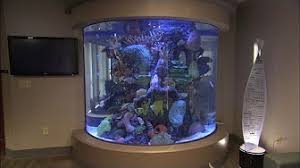 32 seasons science science, educational, tech & gaming tvg How It S Made Alphabetical Order Kaoru Greenemerald 524 Videos