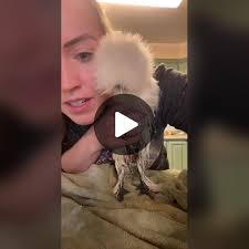 Jen Hamilton (@_jen_hamilton_)'s video of jen hamilton chicken