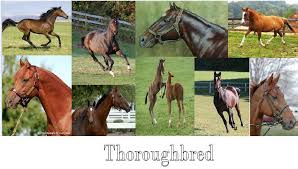 Κι όμως ο διάσημος χολυγουντιανός ηθοποιός τζέισον μπέιτμαν άρχισε την καριέρα του από το μικρό σπίτι στο λιβάδι. Aloga Posts Facebook