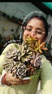 Joy of Water Gardening "Purpe Joy"