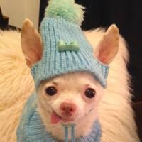 Pinky the Chi