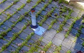 Maybe you would like to learn more about one of these? Removing Fungus Mildew Algae And More From Roofs