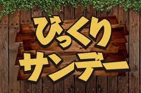 ヤフオク rh55送料350円 technics sl 55 付属 ヒンジ 動作 宮本浩次