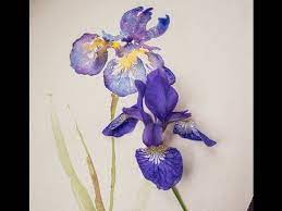 Watercolour Lesson Paint An Iris Flower With Angela Fehr Iris Painting Watercolor Lessons Flower Painting