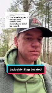 Mrs Farmer Fran Jack Rabbit Egg