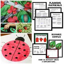 By angela thayer 5 comments. Ladybug Activities