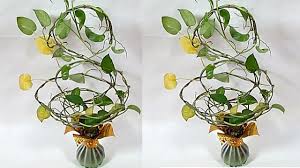 Are you a fan of vertical gardens? Room Decor Money Plant Gardening Jumping Money Plant Design Youtube
