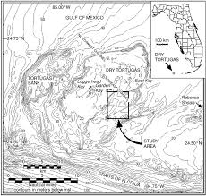 bathymetric chart of the tortugas showing the study area