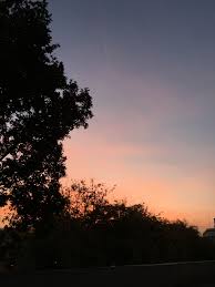 Morning Vibes Morning Sunrise Vibes Morningvibes Trees Nofilter Mypic