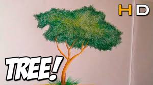 We did not find results for: How To Draw A Tree With Colored Pencil Step By Step For Kids 2 Timelapse Youtube