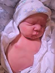 Reviews for Sarah Sheets A Cheery Hello!