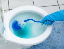 The food coloring is placed in the water while the roses. How To Remove Blue Dye Stains From A Toilet Bowl How To Clean Stuff Net