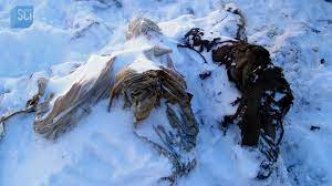 In 2005, a group of ice climbers stumbled upon a frozen body buried in the  ice wearing military clothes. 🤔🧊 Learn more and stream #SecretsintheIce  on discovery+.