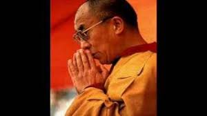 Guanaguanare: the laughing gull: Our Loss, 2006